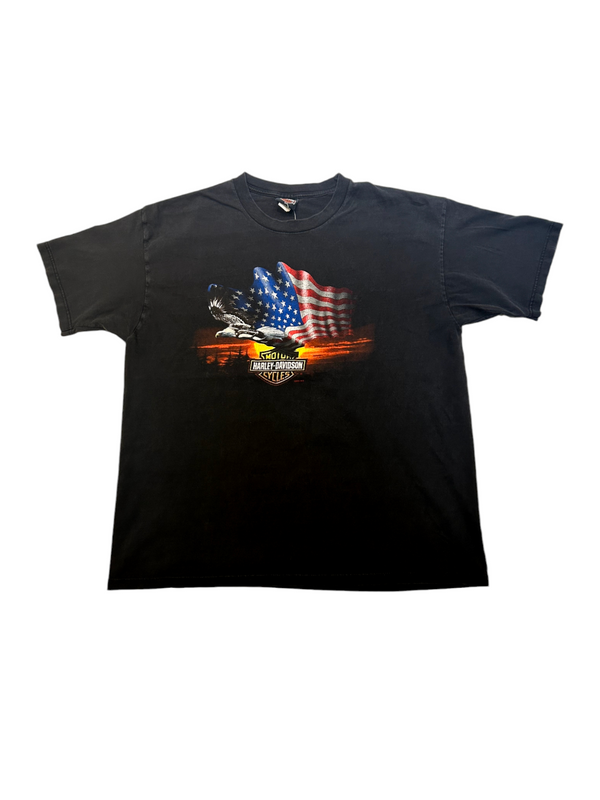 Vintage Harley Davidson American Flag Eagle Anchorage Alaska, Men's Tee Size 2XL