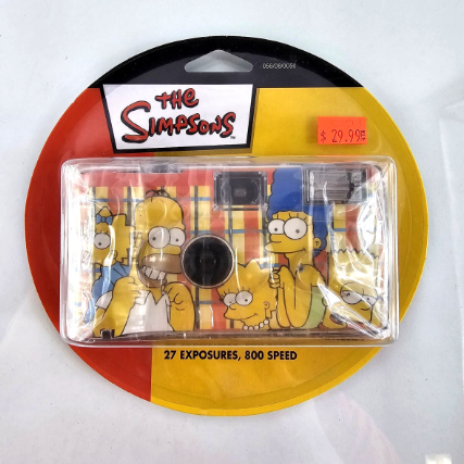 The Simpsons Flash Camera