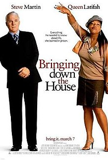 Bringing Down the House DVD